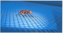 systems against bugs or insects
